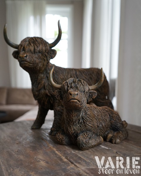 🐂 Hooglander liggend – 2 maten (Countryfield) 🐂 - Afbeelding 6