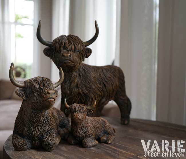 🐂 Hooglander liggend – 2 maten (Countryfield) 🐂 - Afbeelding 2