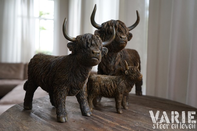 🐂 Hooglander staand – 3 maten (Countryfield) 🐂 - Afbeelding 7