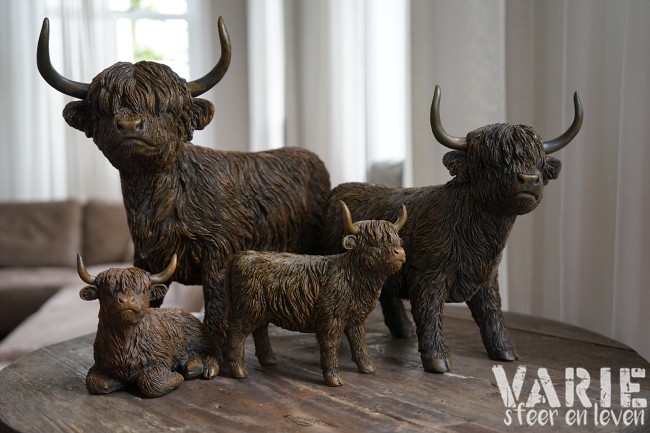 🐂 Hooglander staand – 3 maten (Countryfield) 🐂 - Afbeelding 5