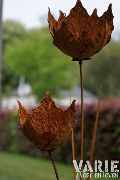 Tuinsteker Lotus 2 maten 110 – 85 cm - Afbeelding 3
