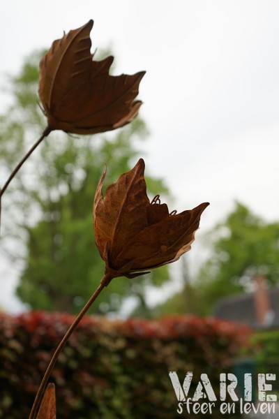 Tuinsteker Lotus 2 maten 110 – 85 cm - Afbeelding 2