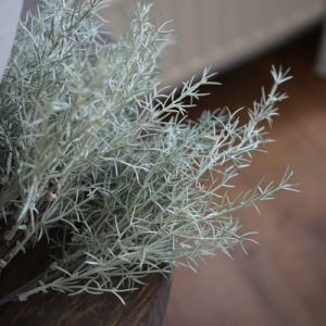 🌿 Kunst Asparagus bush toefje 32 cm