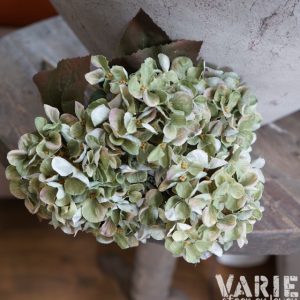 🌿 Kunsthortensia Hydrangea bush green