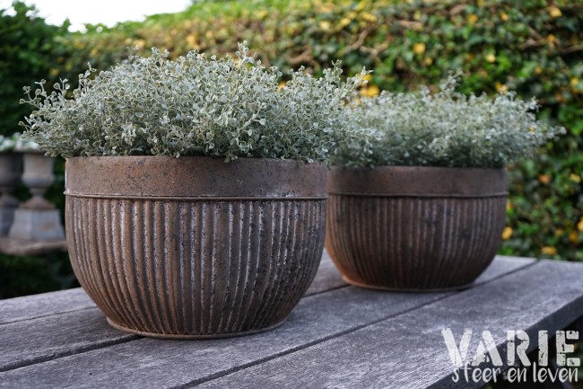 Zinken Bloempot met Ribbelstructuur â à 35 cm đ¤