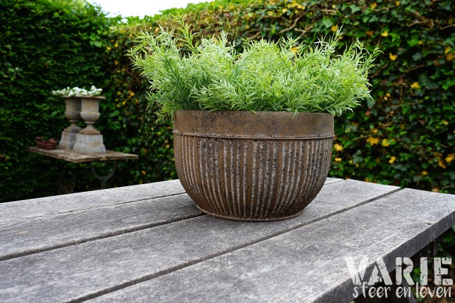 Zinken Bloempot met Ribbelstructuur â à 35 cm đ¤ - Afbeelding 9