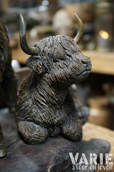 🐂 Hooglander liggend – 2 maten (Countryfield) 🐂 - Afbeelding 9
