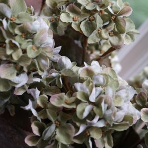 πΏ Kunsthortensia Hydrangea bush green