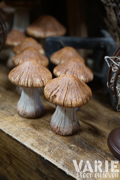 Decoratieve paddenstoel – 2 maten 🍄🤎 - Afbeelding 3