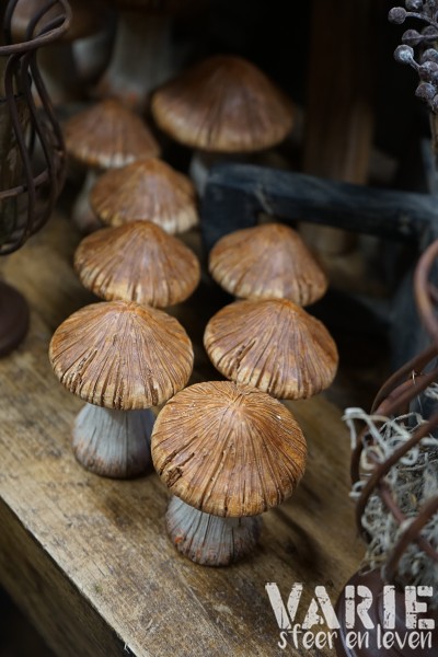 Decoratieve paddenstoel – 2 maten 🍄🤎 - Afbeelding 2