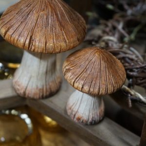 Decoratieve paddenstoel – 2 maten 🍄🤎
