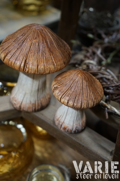 Decoratieve paddenstoel – 2 maten 🍄🤎