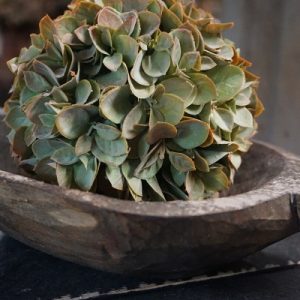 Kunst hortensia bol – vergrijsd groen – Ø 20 cm 🤎🌿