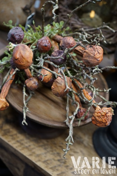 Herfsttak met paddenstoeltjes 🍄🤎 - Afbeelding 6