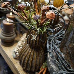 Herfsttak met paddenstoeltjes 🍄🤎