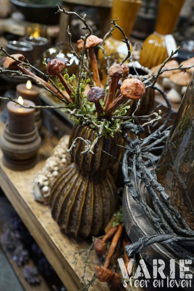 Herfsttak met paddenstoeltjes 🍄🤎