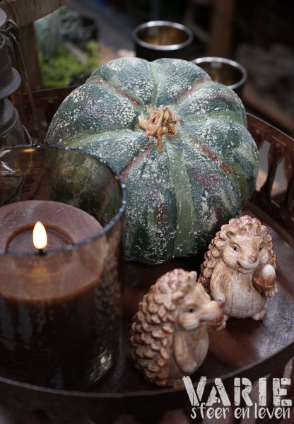 Kunst pompoen / kalebas groen 🤎🎃 - Afbeelding 11