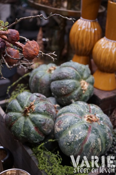 Kunst pompoen / kalebas groen 🤎🎃 - Afbeelding 7