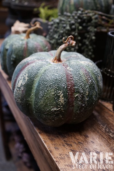 Kunst pompoen / kalebas groen 🤎🎃 - Afbeelding 8