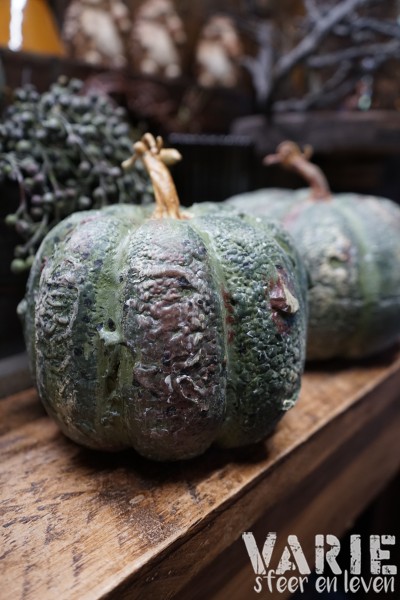 Kunst pompoen / kalebas groen 🤎🎃 - Afbeelding 9