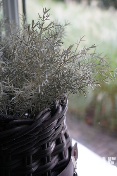 🌿 Kunst Asparagus bush toefje 32 cm - Afbeelding 2