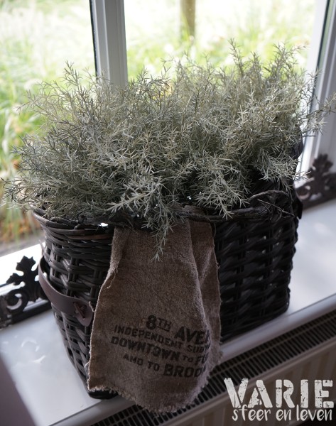 🌿 Kunst Asparagus bush toefje 32 cm - Afbeelding 9