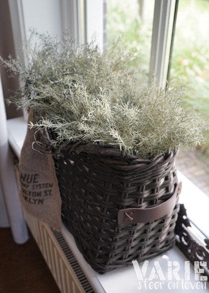 🌿 Kunst Asparagus bush toefje 32 cm - Afbeelding 6