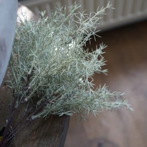 🌿 Kunst Asparagus bush toefje 32 cm