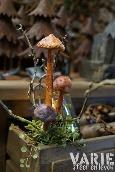 Herfsttak met paddenstoeltjes 🍄🤎 - Afbeelding 2