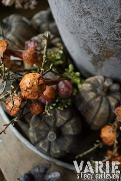 Herfsttak met paddenstoeltjes 🍄🤎 - Afbeelding 3