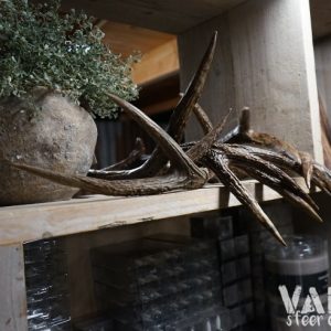 Decoratief gewei β naturel bruin β ca. 42 cm π€