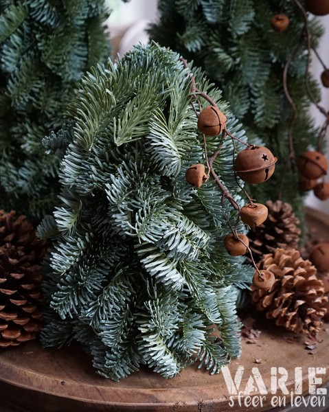 Kunst Nobilis boompjes op houten schijf – 3 maten 🌲🤎 - Afbeelding 2