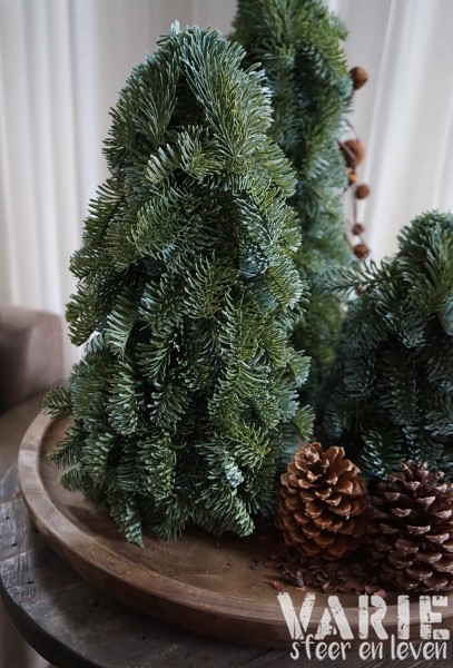 Kunst Nobilis boompjes op houten schijf – 3 maten 🌲🤎 - Afbeelding 3