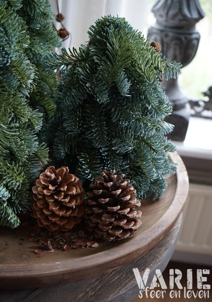 Kunst Nobilis boompjes op houten schijf – 3 maten 🌲🤎 - Afbeelding 4