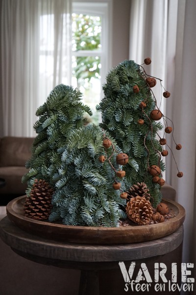 Kunst Nobilis boompjes op houten schijf – 3 maten 🌲🤎 - Afbeelding 5