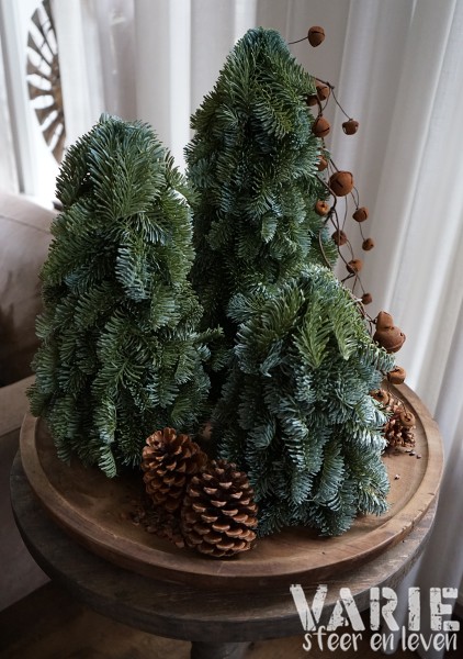 Kunst Nobilis boompjes op houten schijf – 3 maten 🌲🤎 - Afbeelding 11